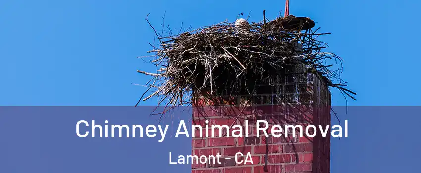  Chimney Animal Removal Lamont - CA