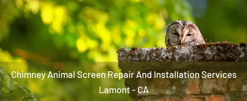  Chimney Animal Screen Repair And Installation Services Lamont - CA