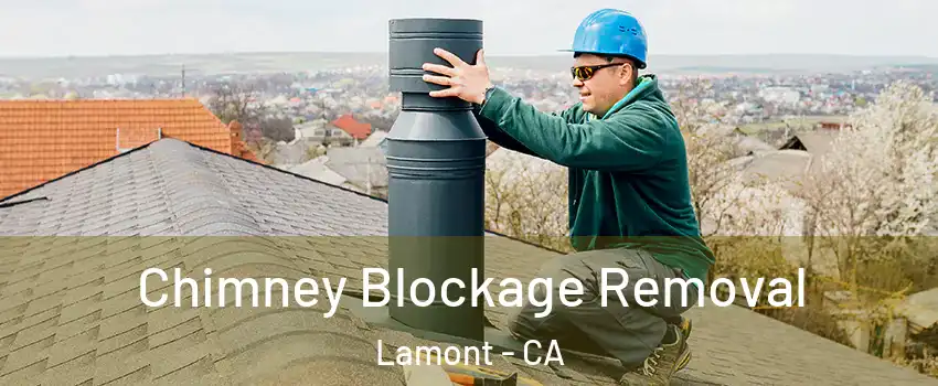  Chimney Blockage Removal Lamont - CA