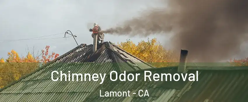  Chimney Odor Removal Lamont - CA