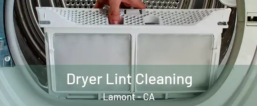  Dryer Lint Cleaning Lamont - CA