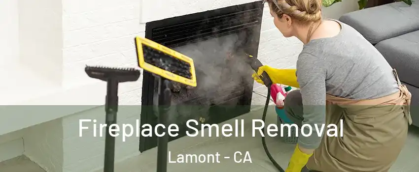  Fireplace Smell Removal Lamont - CA