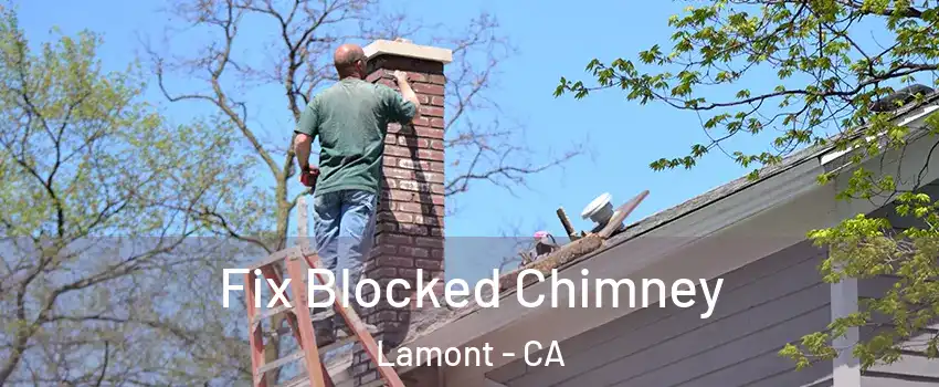  Fix Blocked Chimney Lamont - CA