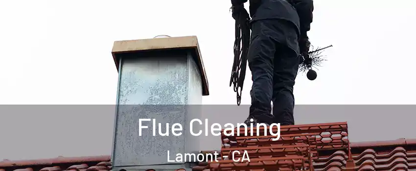  Flue Cleaning Lamont - CA