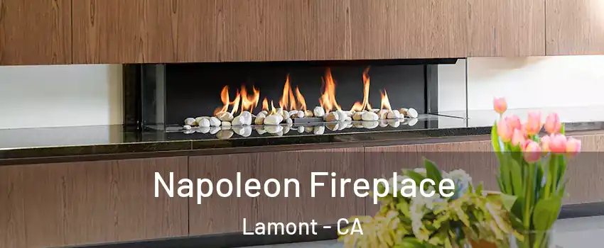  Napoleon Fireplace Lamont - CA